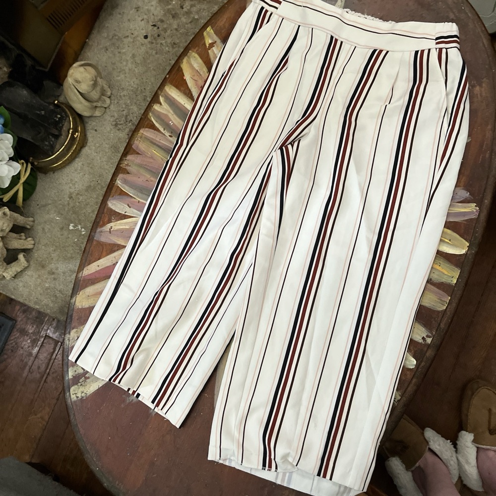 Crop ladies dress pants